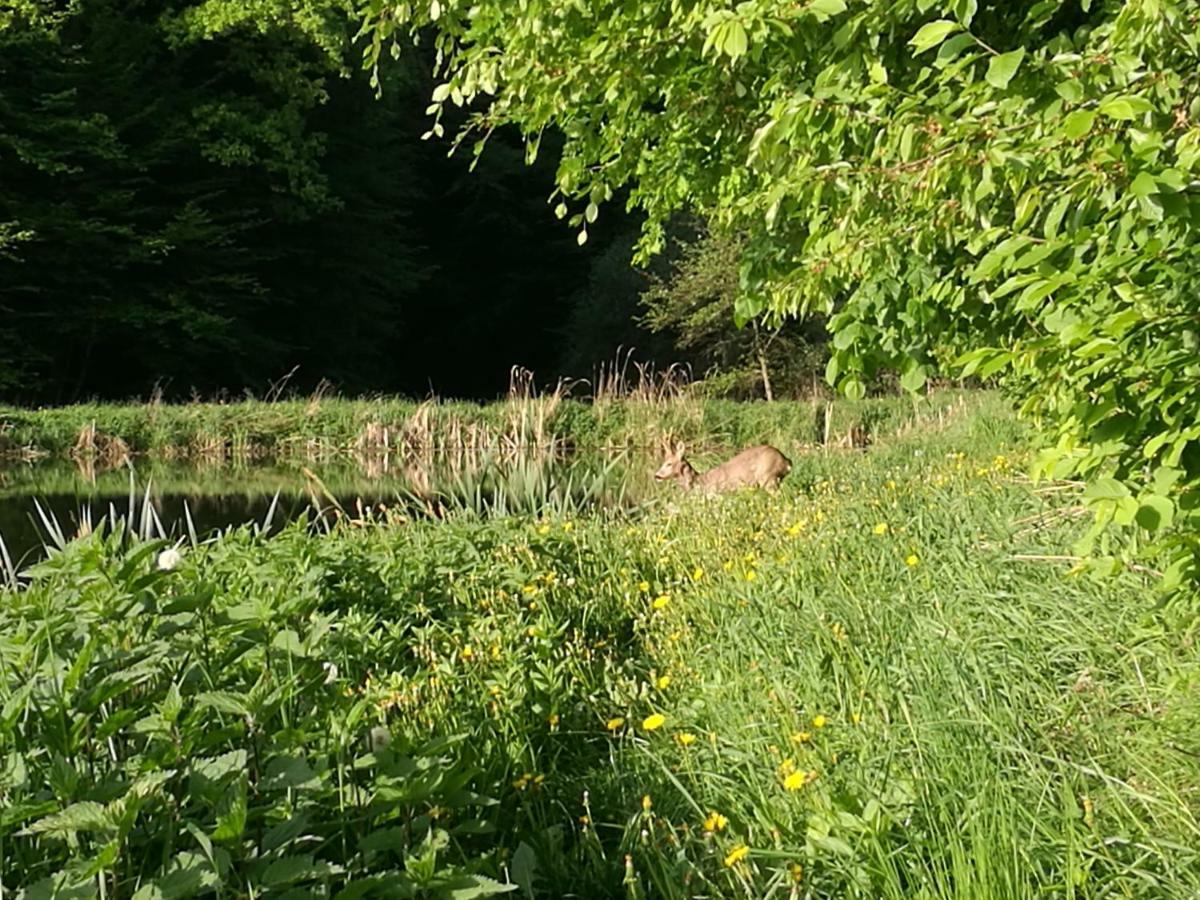 Agroturystyka U Krystyny Rybczewice Dış mekan fotoğraf