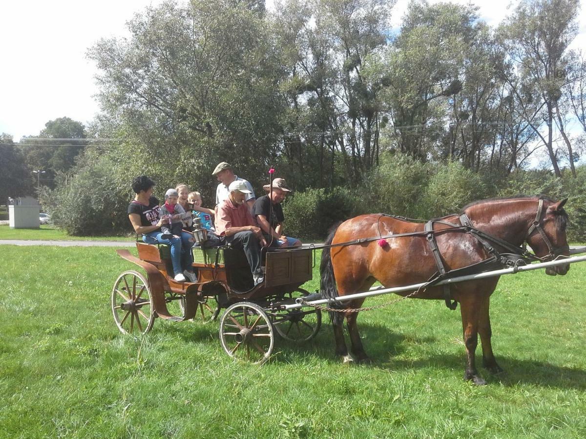 Agroturystyka U Krystyny Rybczewice Dış mekan fotoğraf